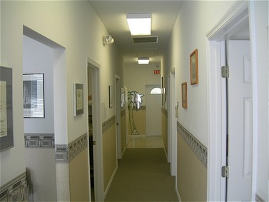 377x430-31430